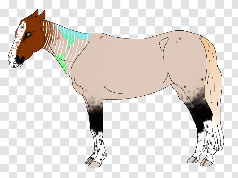 Foal Stallion Mare Mustang Colt - Horse Transparent PNG