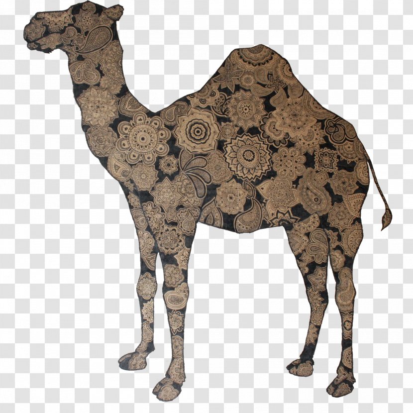 Dromedary NUIT DU FOLK India Ink Royans Wash Painting - Animal Transparent PNG