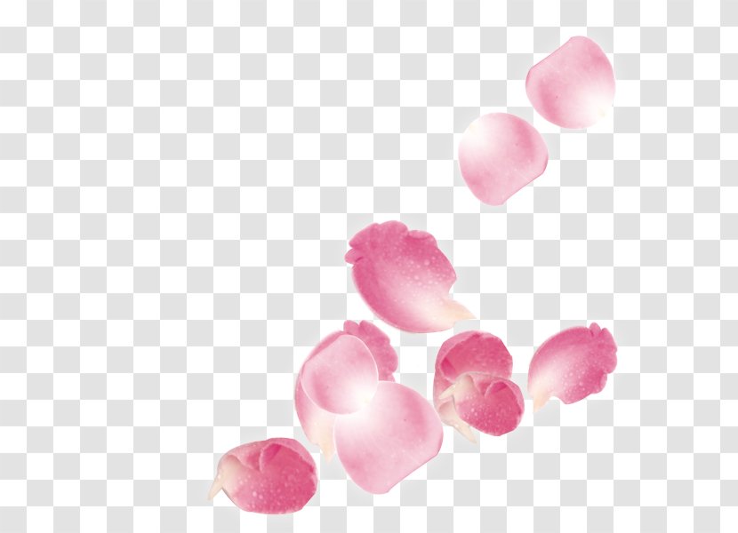 Beach Rose Petal - Pink Roses Falling Leaves Transparent PNG
