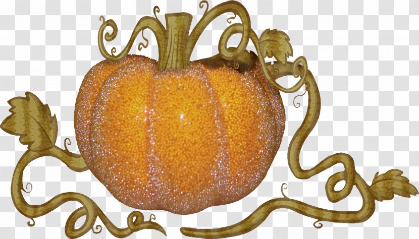 Pumpkin Winter Squash Cucurbita Fruit Transparent PNG