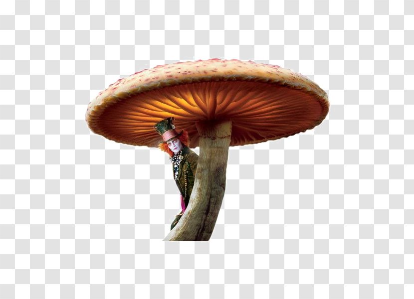 Alice's Adventures In Wonderland The Mad Hatter Red Queen Alice - Agaricus - Caterpillar Png Mushroom Transparent PNG