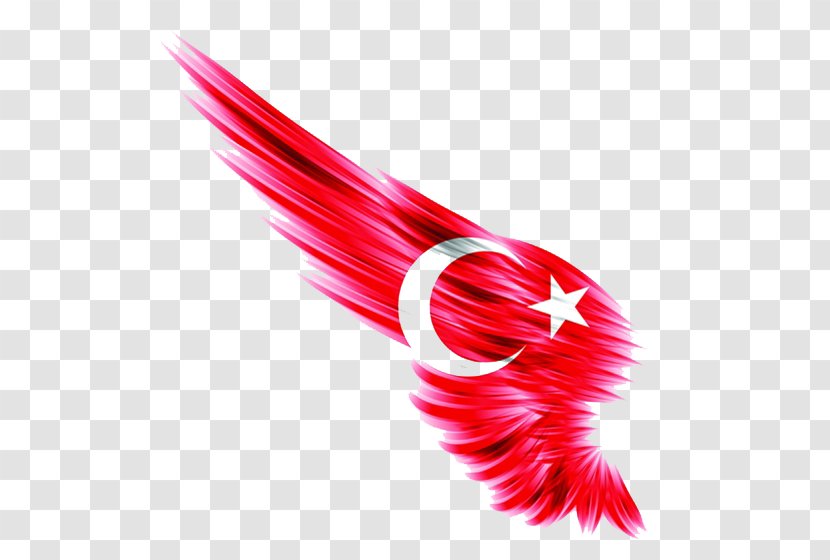 I Duvarkapla.co | Wall Paper Flag Of Turkey Ottoman Empire Istanbul - Red Wings Transparent PNG