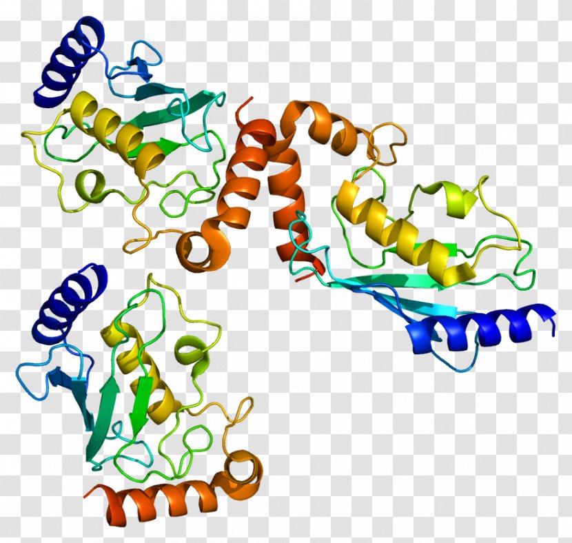 Protein ISG15 Anaphase-promoting Complex Ubiquitin-conjugating Enzyme - Tree - Flower Transparent PNG
