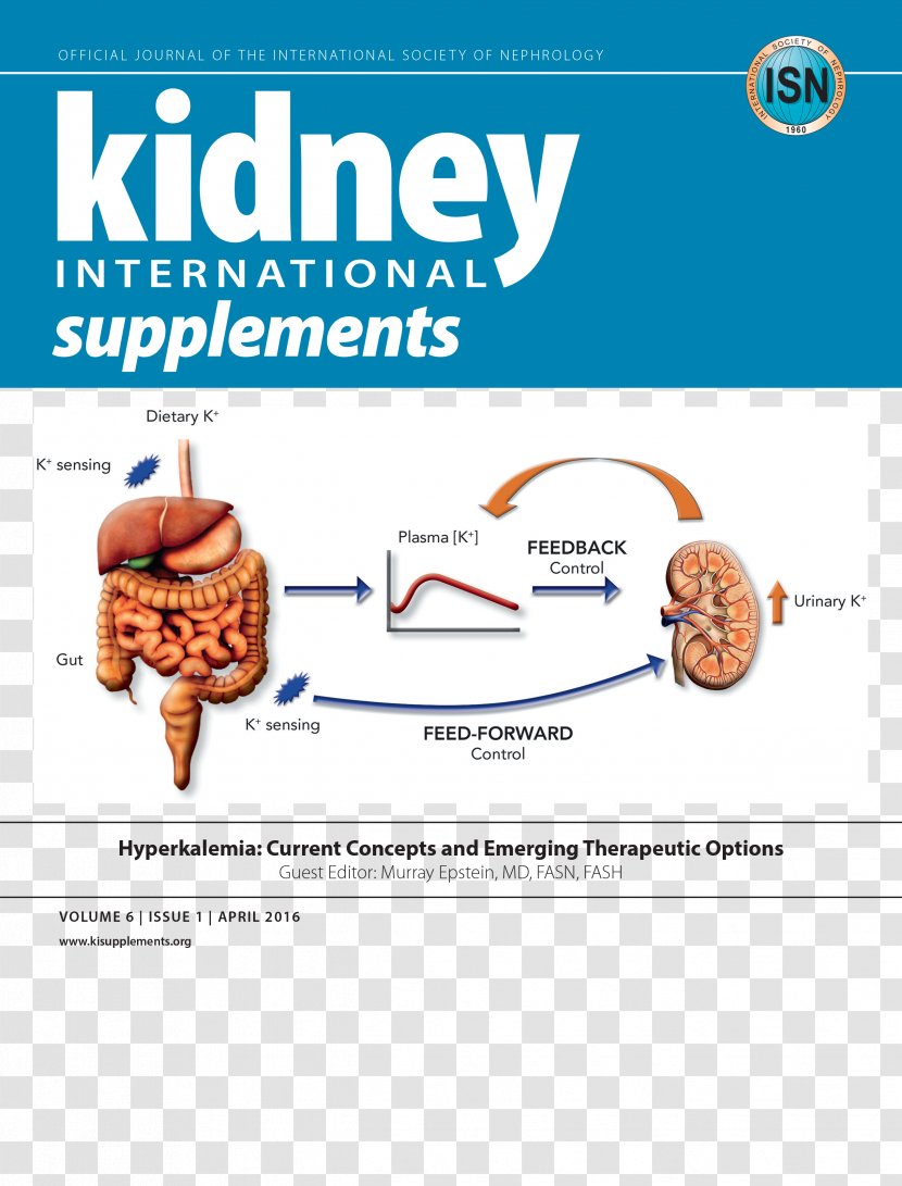 Dietary Supplement Kidney International Disease: Improving Global Outcomes Society Of Nephrology Chronic Disease - Pharmaceutical Drug - Therapy Transparent PNG