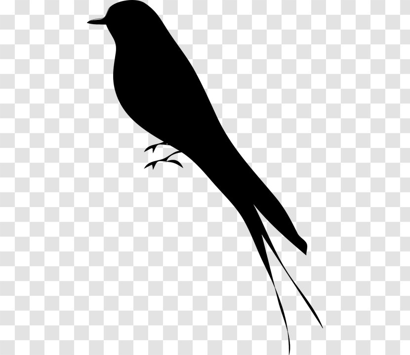 Bird Silhouette Clip Art - Wing - European Robin Transparent PNG