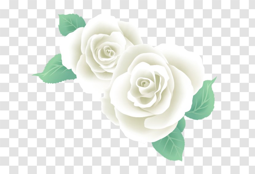 Garden Roses - Dwg - White Transparent PNG