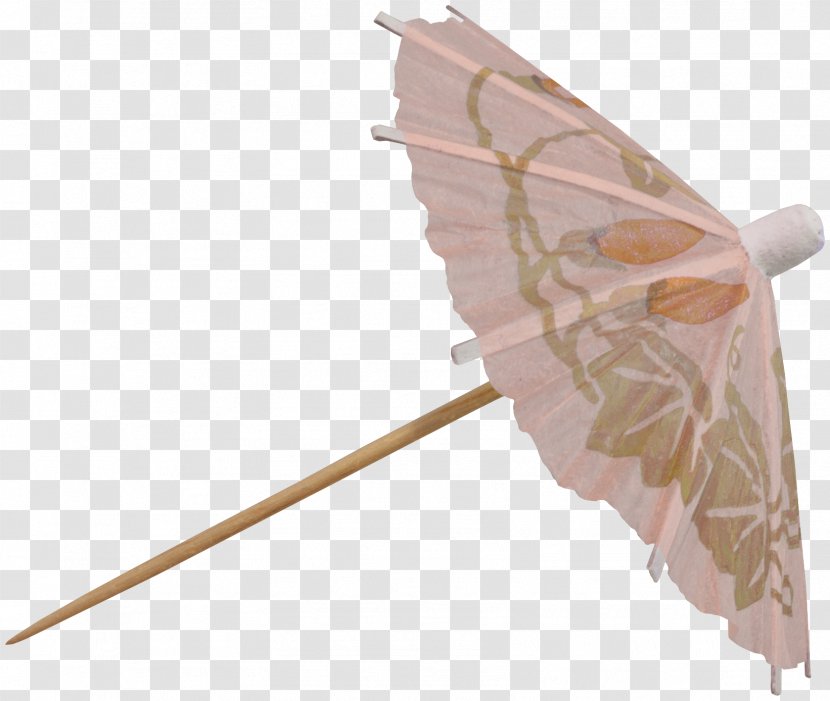 Butterfly Butterflies And Moths - Umbrella Transparent PNG