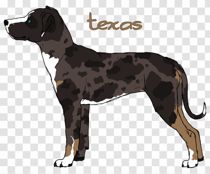 Dog Breed Great Dane Crossbreed - Catahoula Transparent PNG