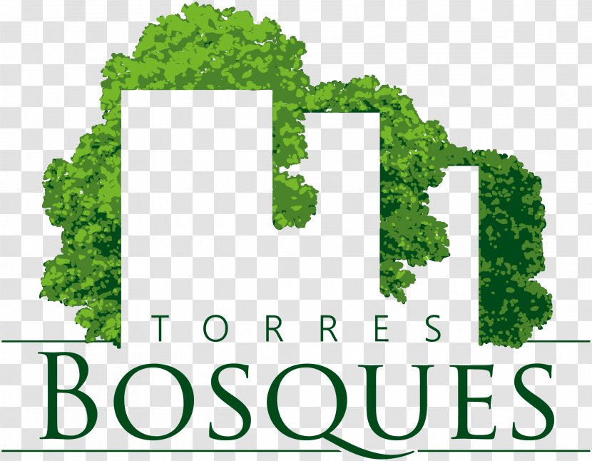 Torres Bosques House Apartment Bathroom Real Estate Transparent PNG