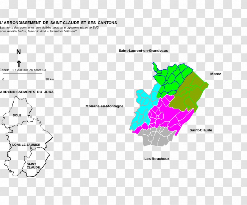 Brand Map Ecoregion Tree - Area Transparent PNG