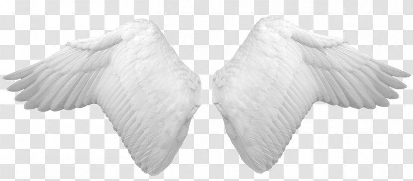Wing - Line Art - Wings Transparent PNG