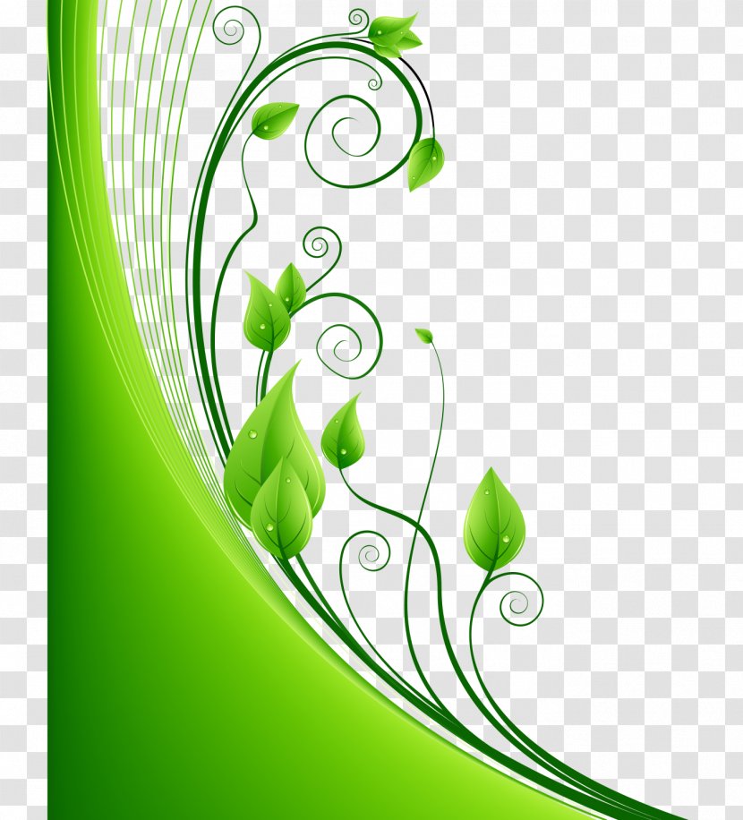 Green Leaf Euclidean Vector - Flower - Pattern Transparent PNG
