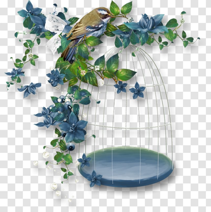 Picture Frames Freekibble Web Browser - Plant - Ornament Transparent PNG