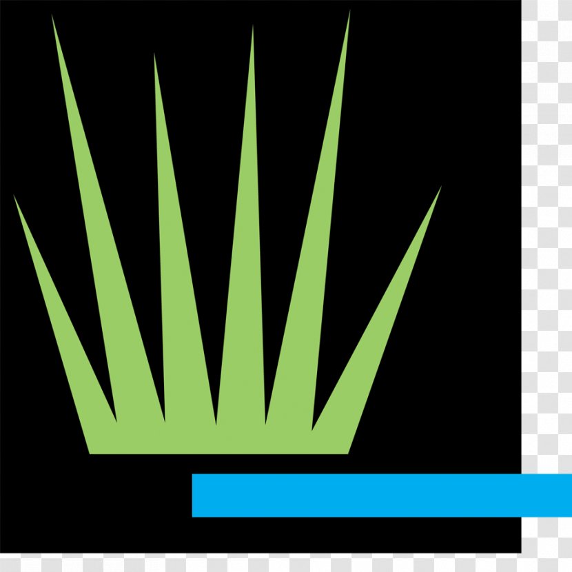 Logo Line Angle Brand Font - Computer Graphics - Turf Transparent PNG