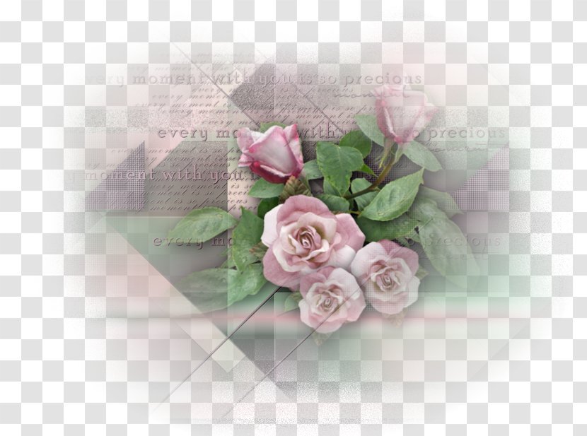 Cut Flowers Garden Roses Floral Design Centifolia - The Oriental Pearl Transparent PNG