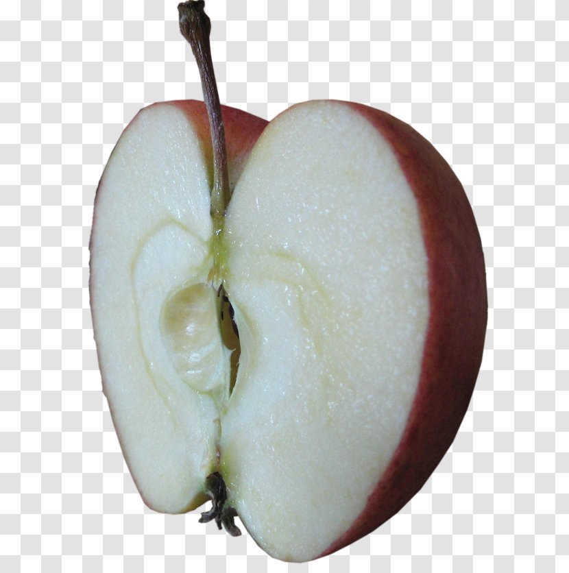 Apple - Fruit - Plant Transparent PNG