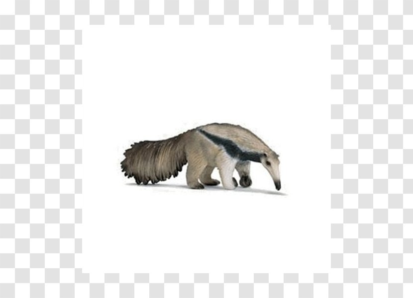 Anteater Amazon.com Toy Schleich Armadillo - Carnivoran Transparent PNG