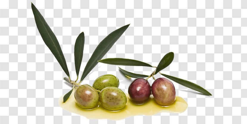 Olive Oil Condiment Picual Arbequina - Grape Seed Transparent PNG