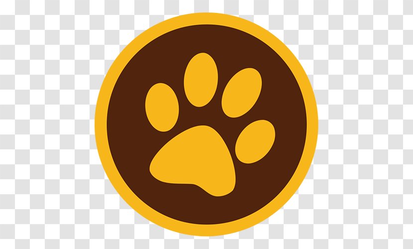 Schipperke Border Collie Dog Biscuit Cat Rescue - Pet Transparent PNG