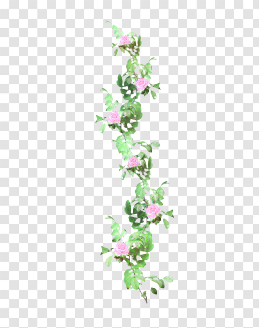 Plant Stem Leaf Flower Plants - Ivy - Branch Transparent PNG