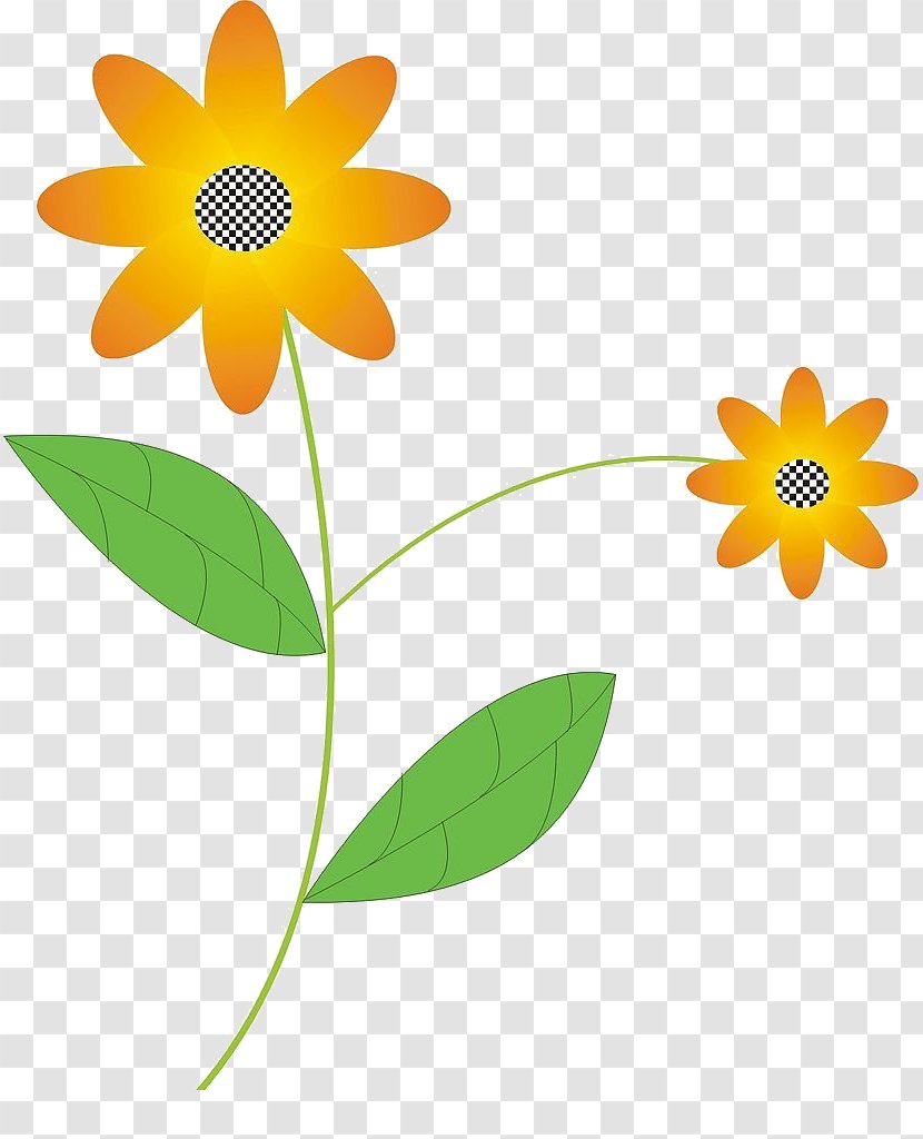 Flower Flora Petal Illustration - Yellow - Sunflower Transparent PNG