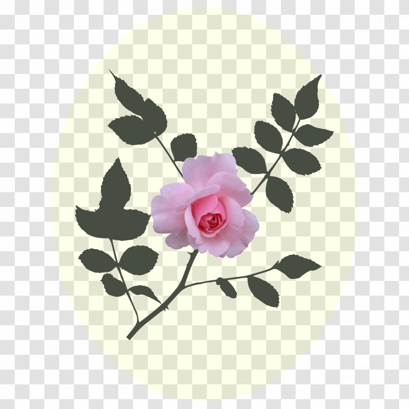 Clip Art - Plant - Pink Rose Transparent PNG