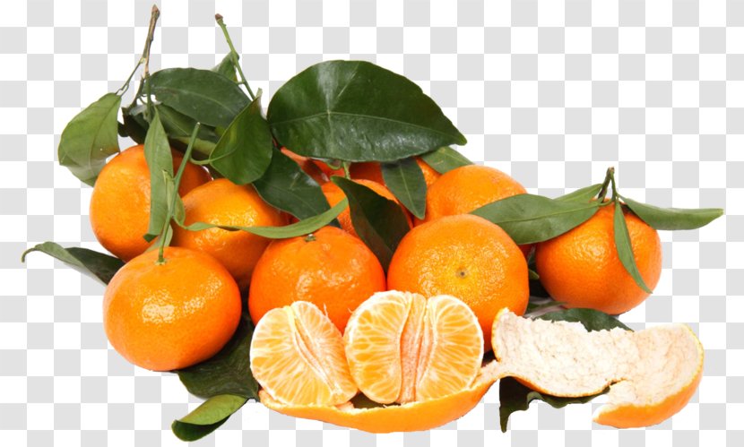 Clementine Mandarin Orange Food Tangerine Transparent PNG