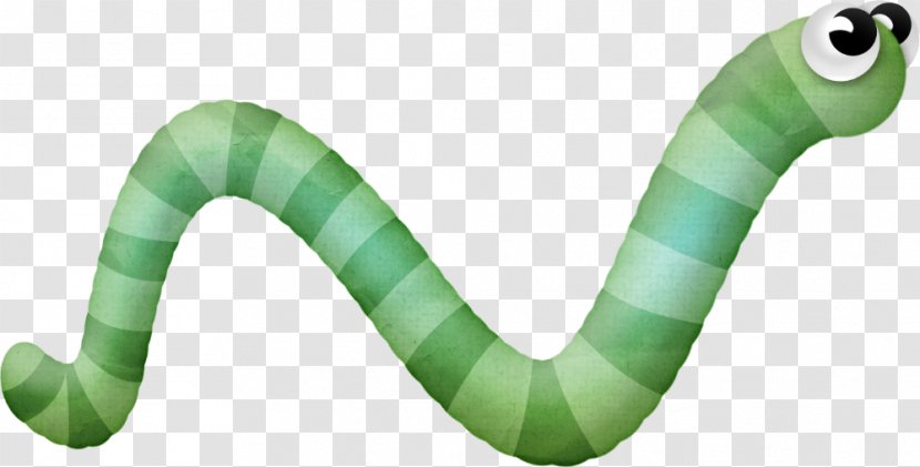 Larva - Serpent - Reptile Transparent PNG