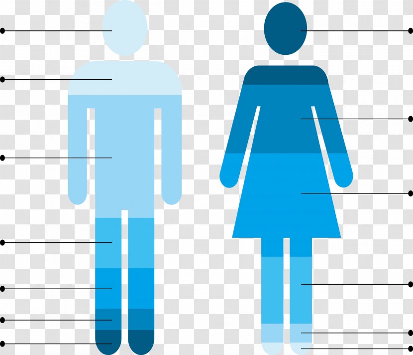 Public Toilet Female Bathroom - Sign - Business Vector Material Transparent PNG