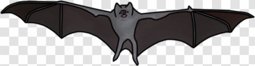 Symmetry Character - Mammal - Vampire Bat Transparent PNG
