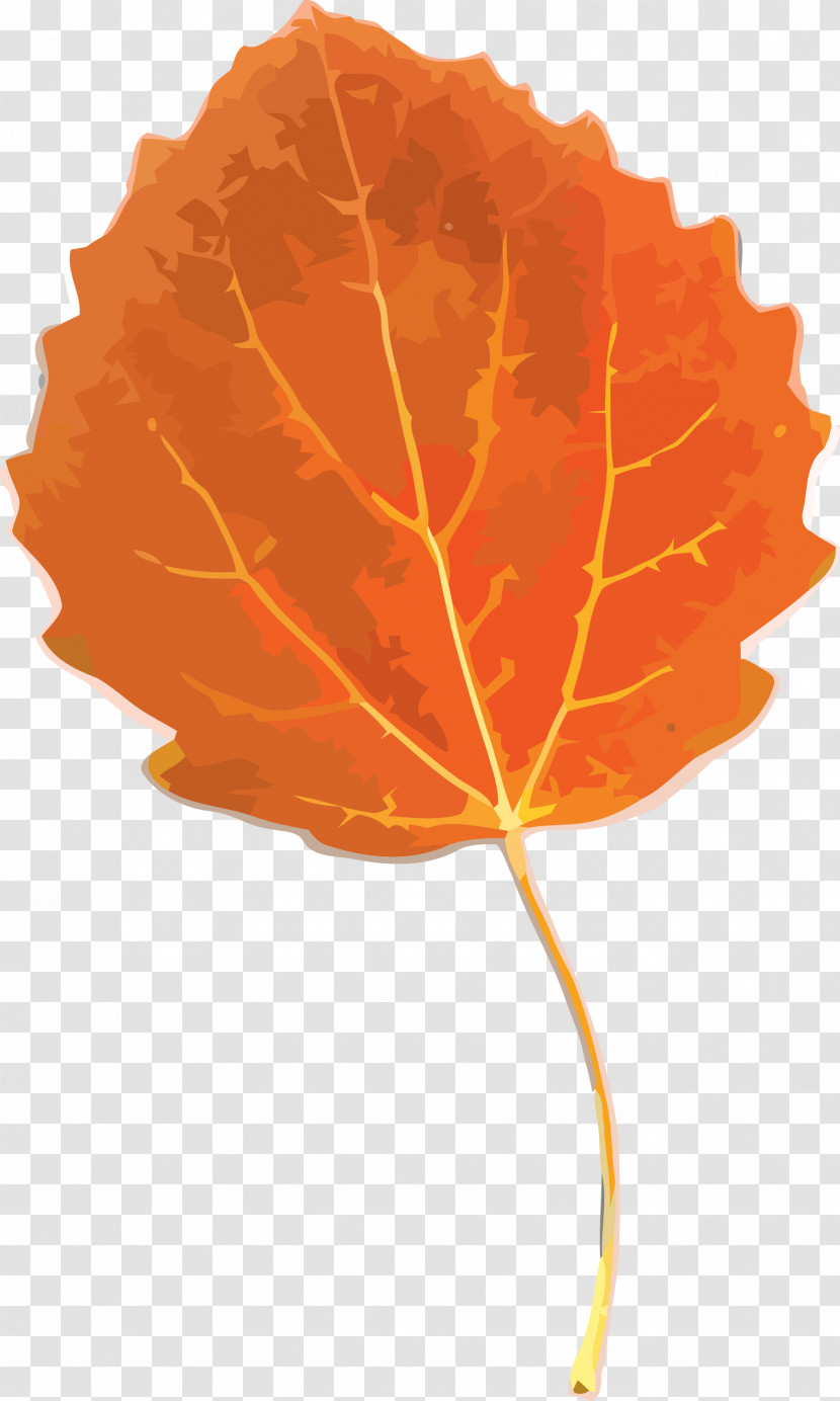 Autumn Leaf Yellow Leaf Leaf Transparent PNG