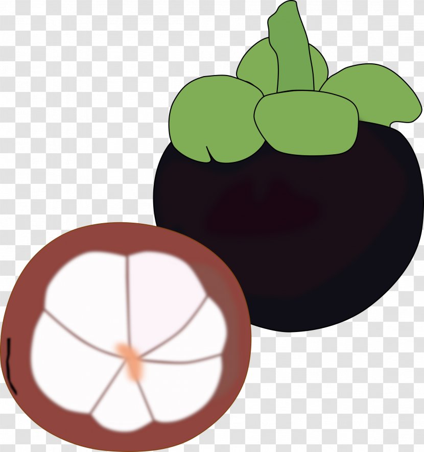 Purple Mangosteen Fruit Clip Art - Flowering Plant - Manggo Transparent PNG