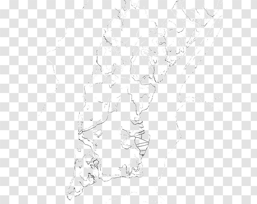 Figure Drawing Line Art White Sketch - Joint - Topography Transparent PNG