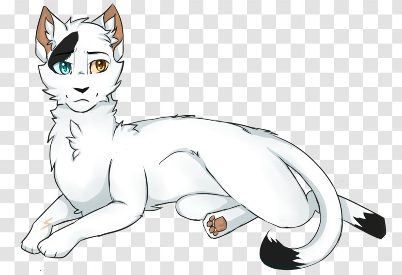 Whiskers Kitten Cat Canidae Sketch - Tail Transparent PNG