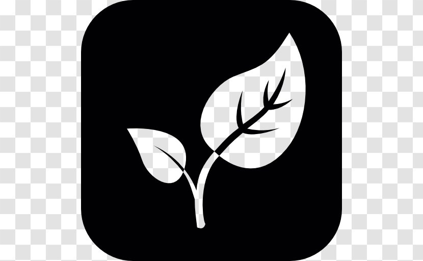 Plant Leaf Green - Black Transparent PNG