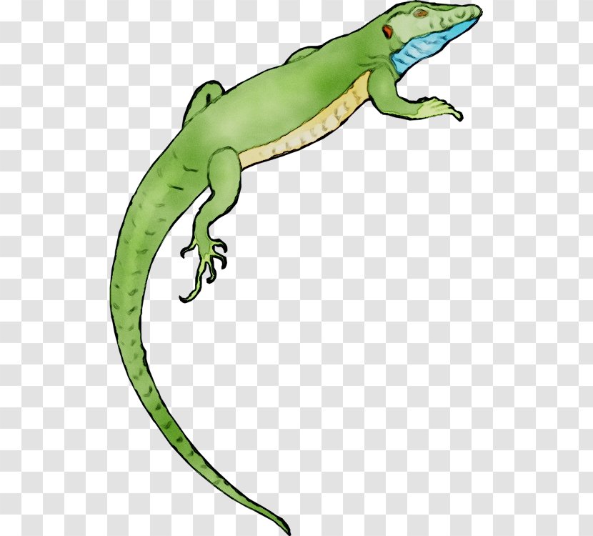 Gecko Clip Art Frog Common Iguanas Terrestrial Animal Transparent PNG