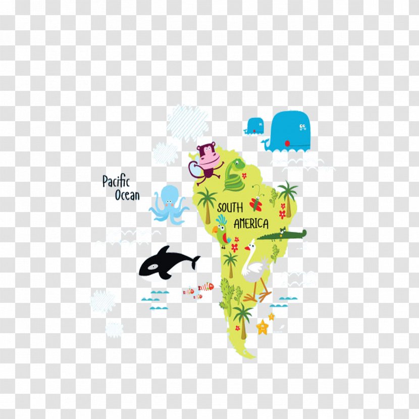 South America Ballena, California Illustration - Animal Transparent PNG