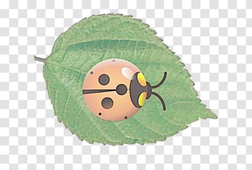 Ladybird Insect - Animal - Ladybug Picture Transparent PNG