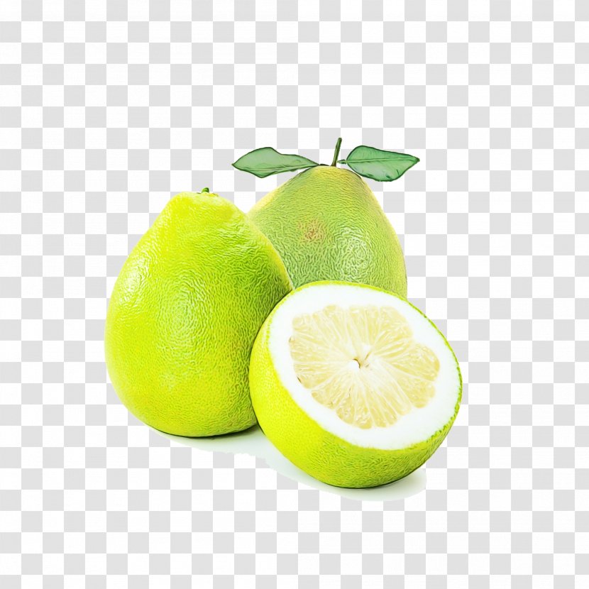 Lemon - Acid - Pomelo Lemonlime Transparent PNG