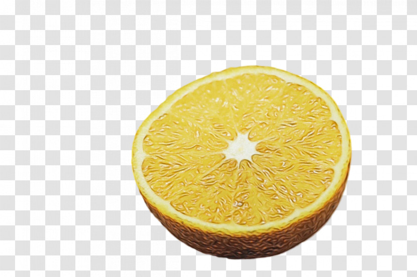 Orange Transparent PNG