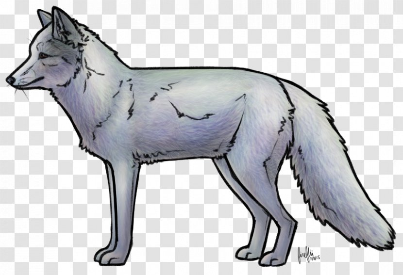 Red Fox Dog Breed Transparent PNG