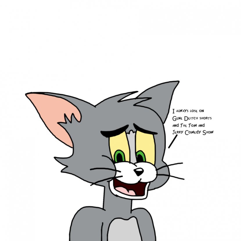 Tom Cat Cartoon And Jerry Filmation - Frame Transparent PNG