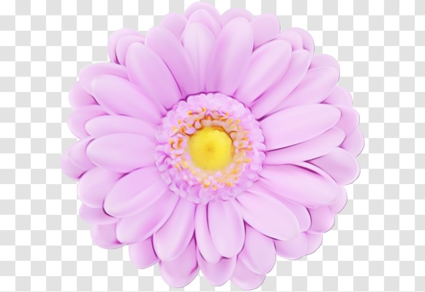 Lavender - Wet Ink - Barberton Daisy Yellow Transparent PNG