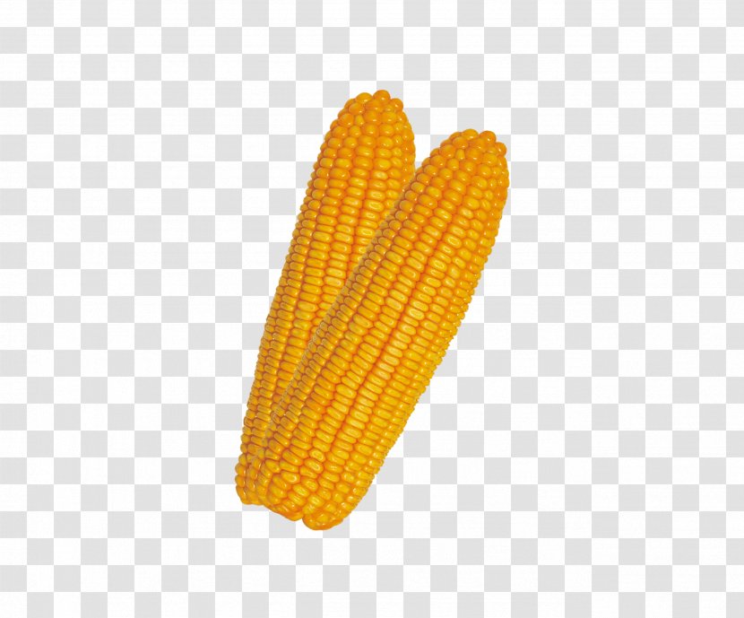 Corn On The Cob U852cu679c - Designer Transparent PNG