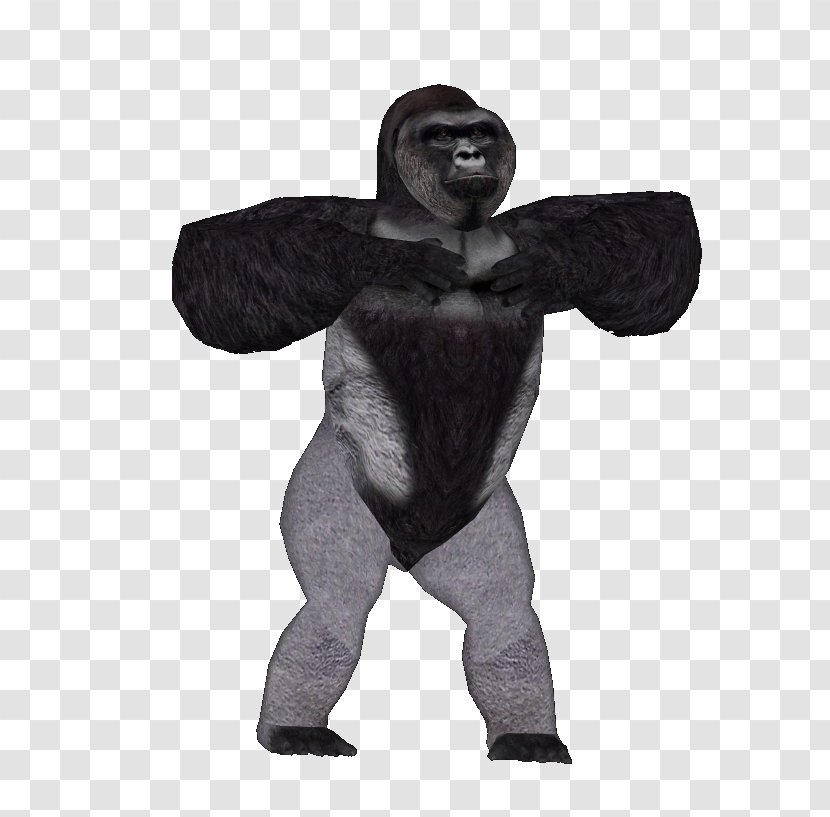 Harambe Desktop Wallpaper Gorilla - Fictional Character Transparent PNG