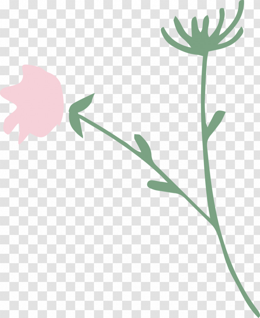 Plant Stem Petal Leaf Green Meter Transparent PNG