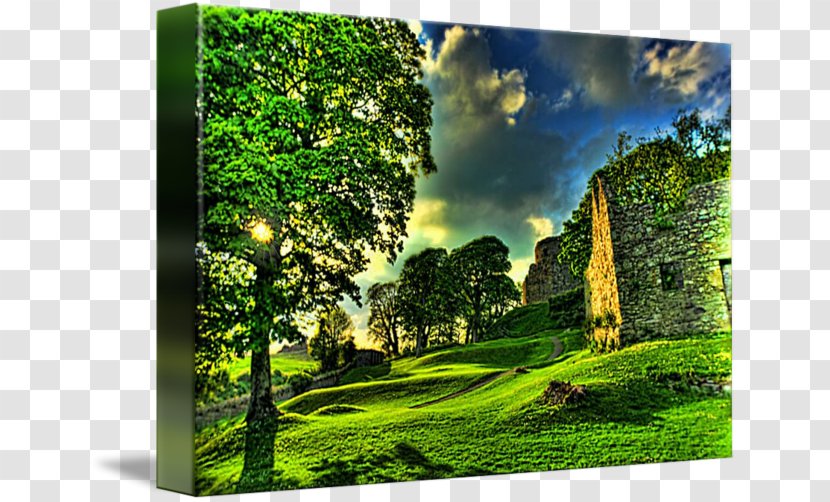 Dundrum Castle Canvas Print Art Printing Transparent PNG