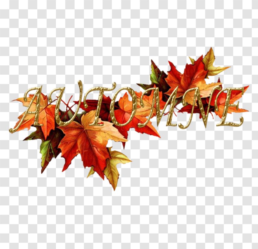 Autumn Landmark Free Holiness Church - Flower - ECRITURE Transparent PNG