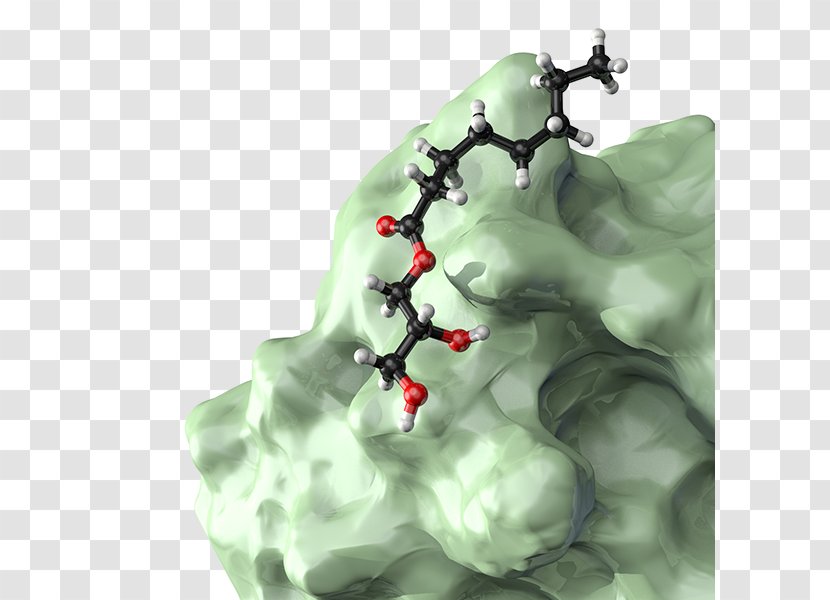 Histamine H1 Receptor Illustration Organism Science - Medicine - Immunity Transparent PNG