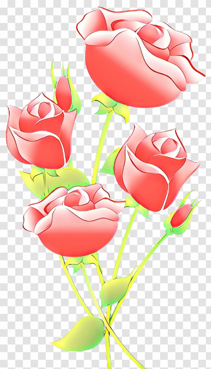 Garden Roses - Rose - Family Petal Transparent PNG